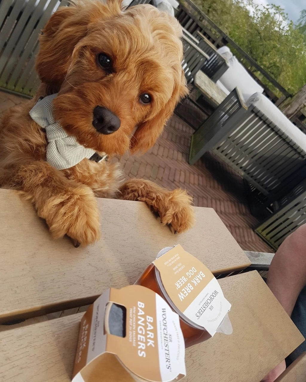 Bark Bangers Mini Chicken Sausage Dog Treats